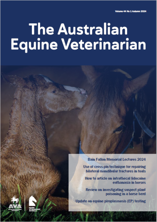 Australian Equine Veterinarian Image